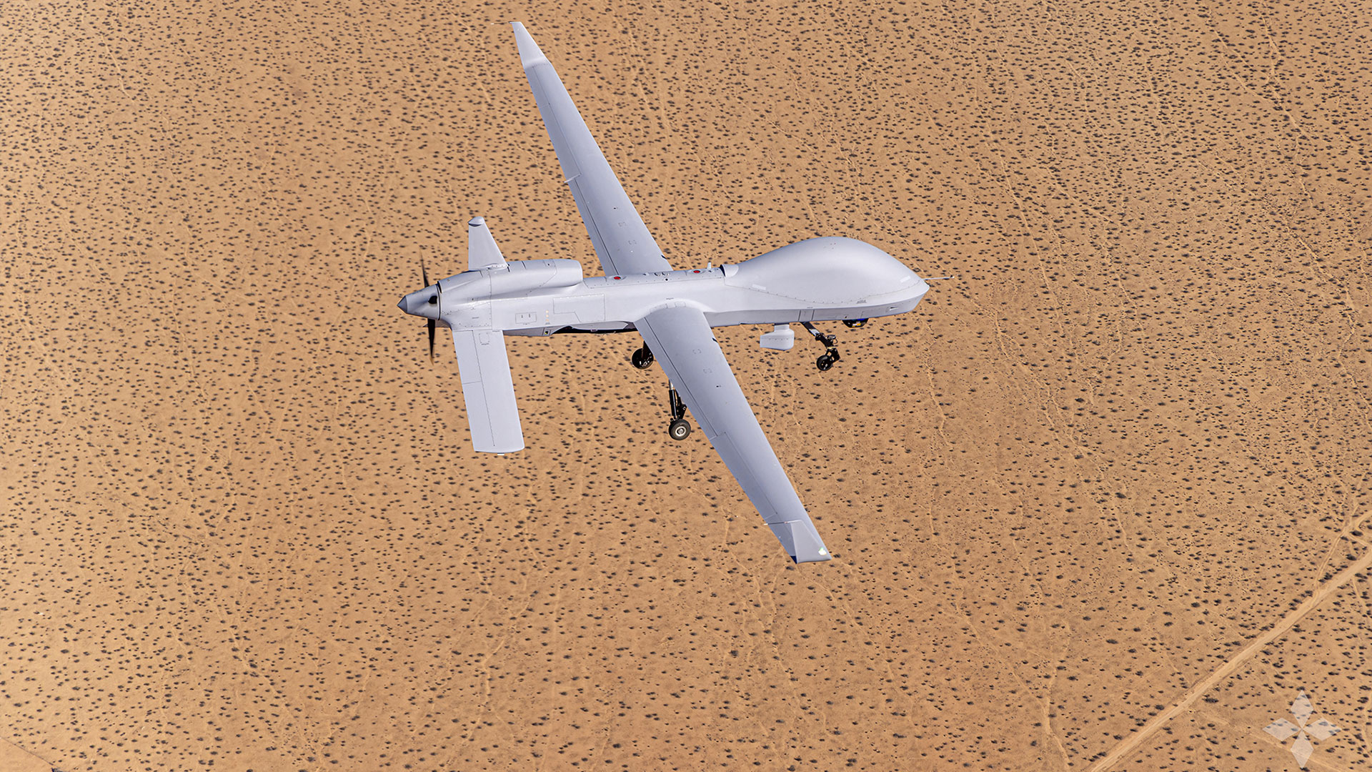 Gray-Eagle-ER-img-03