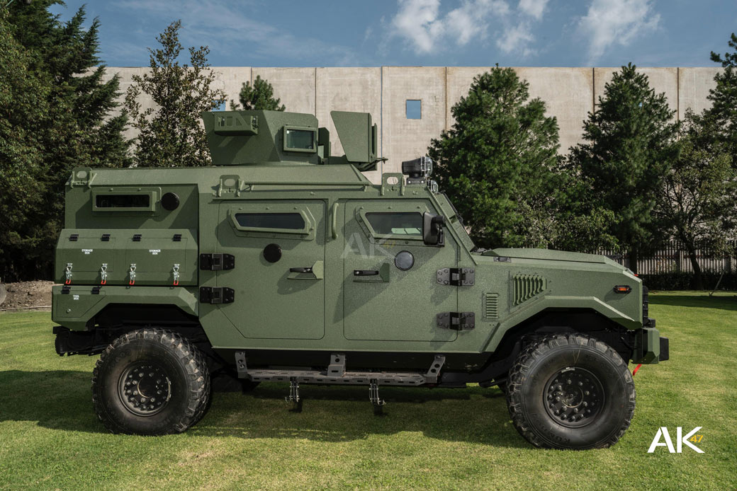 Ocelotl-VERE-cobra-4-aktuelle-3