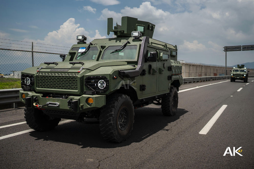 Ocelotl-VERE-cobra-4-aktuelle